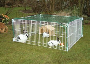 Quelle taille de cage pour un lapin nain ?