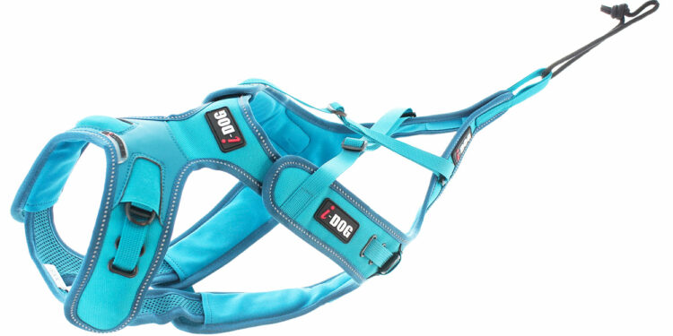 Quelle taille de harnais ?