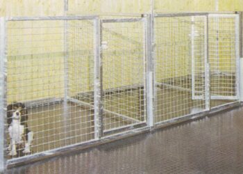 Quelle taille de jardin pour un chien ?