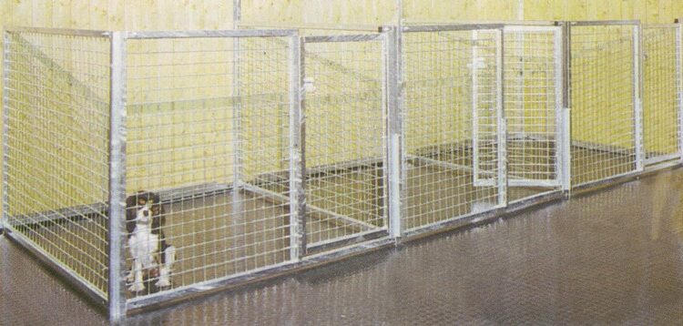 Quelle taille de jardin pour un chien ?