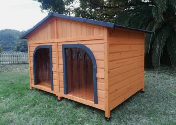 Quelle taille de niche pour un Golden Retriever ?