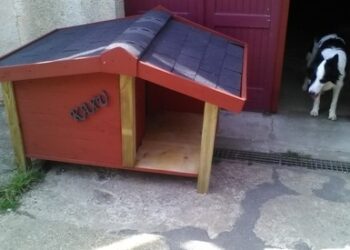 Quelle taille de niche pour un berger allemand ?