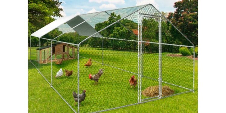 Quelle taille de poulailler pour 20 poules ?