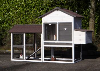 Quelle taille de poulailler pour 20 poules ?