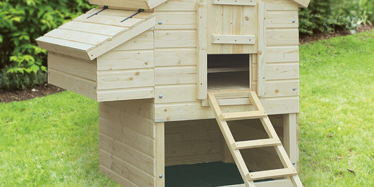 Quelle taille de poulailler pour 4 poules ?