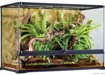 Quelle taille de terrarium ?