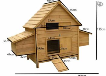 Quelle taille d'enclos pour 2 poules ?