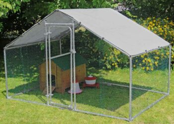 Quelle taille d'enclos pour 3 poules ?