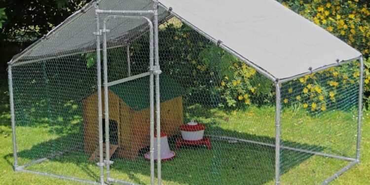 Quelle taille d'enclos pour 3 poules ?