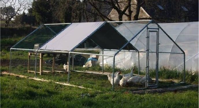 Quelle taille d'enclos pour 3 poules ?