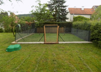 Quelle taille d'enclos pour 3 poules ?