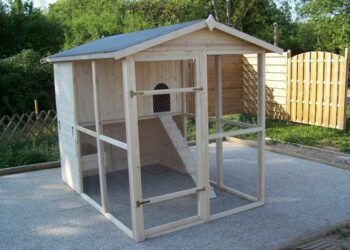 Quelle taille d'enclos pour 4 poules ?