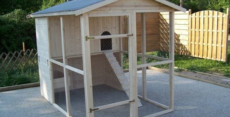 Quelle taille d'enclos pour 4 poules ?