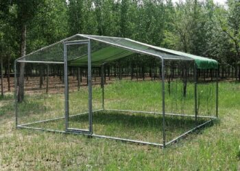 Quelle taille d'enclos pour 4 poules ?