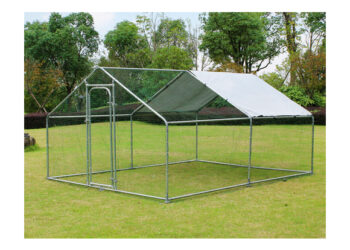 Quelle taille d'enclos pour 4 poules ?