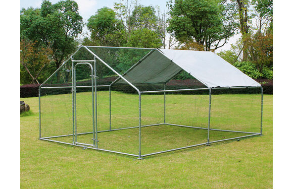 Quelle taille d'enclos pour 4 poules ?