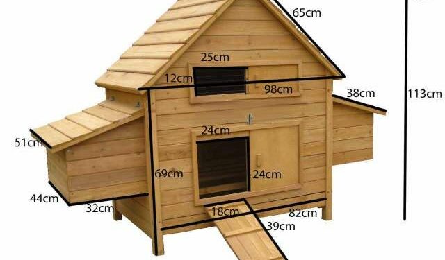 Quelle taille pour un poulailler de 3 poules ?