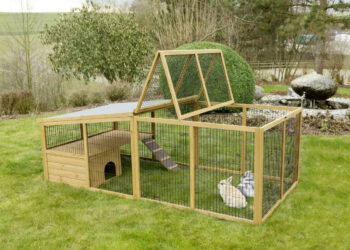 Quelle température supporte les lapins ?