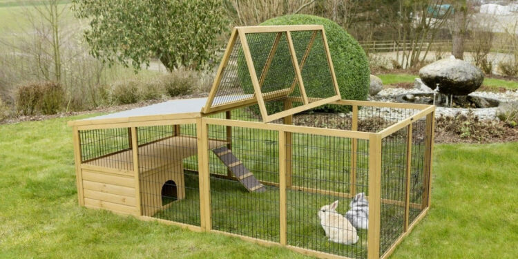 Quelle température supporte les lapins ?