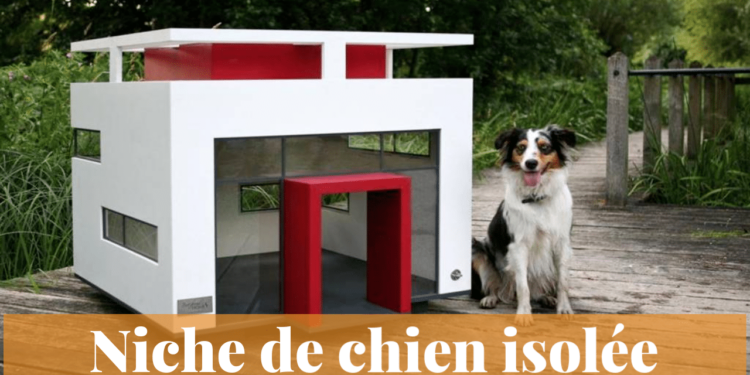 Quelle température trop froide pour un chien ?