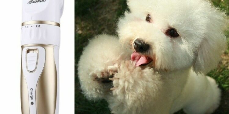 Quelle tête de coupe pour tondre un chien ?