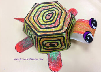 Quelle tortue sans autorisation ?