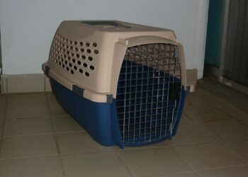 Quelle voiture pour mettre cage chien ?