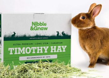 Quelles epluchures donner aux lapins ?