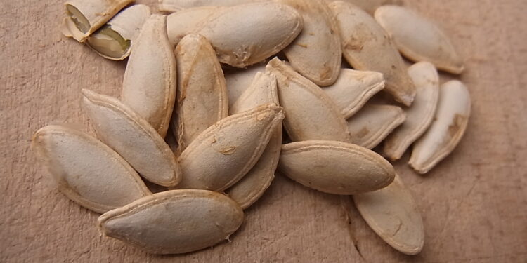 Quelles graines mangent les moineaux ?