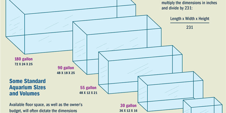 Quelles sont les dimensions d'un aquarium de 20 litres ?