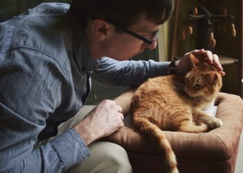 Quelles sont les microbes animaux ?