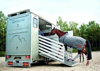 Quelles sont les normes IATA ?