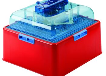 Quelles sont les poules qui couvent le mieux ?