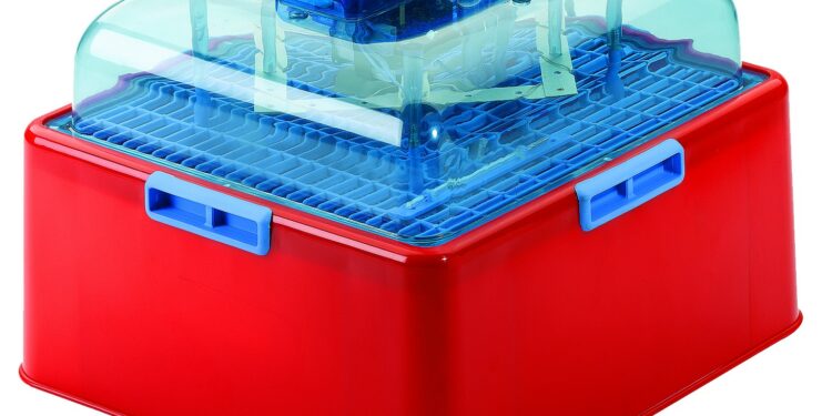 Quelles sont les poules qui couvent le mieux ?