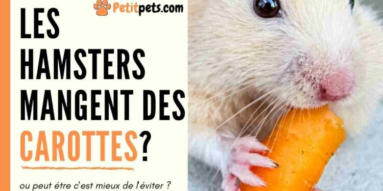 Quels légumes donner aux poissons ?