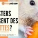 Quels légumes donner aux poissons ?