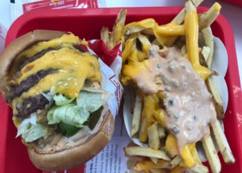 Quels sont les animaux rares ?