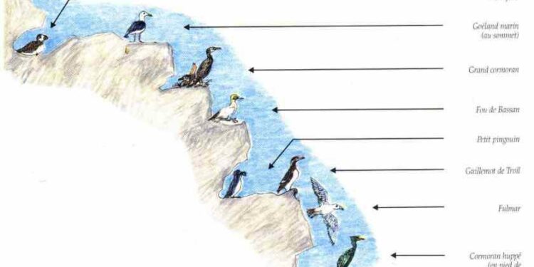 Quels sont les besoins essentiels d'une espèce doit pouvoir combler dans son habitat ?