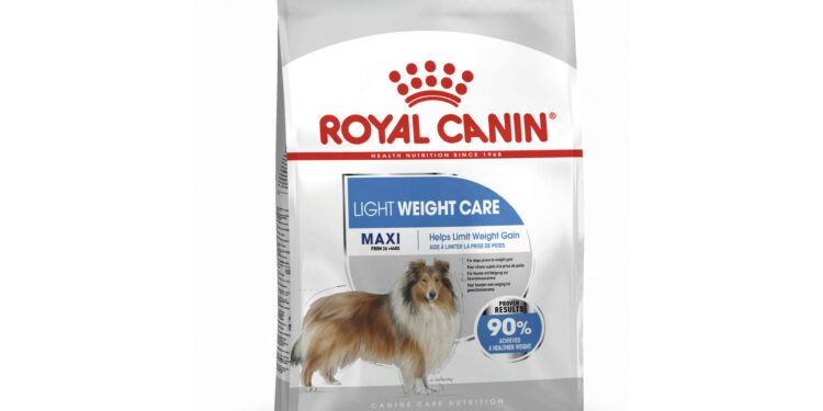 Quels sont les chiens les plus câlins ?