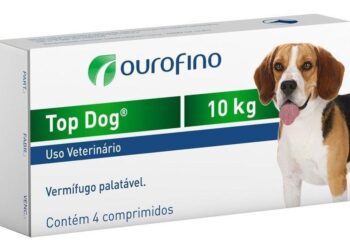 Quels sont les chiens les plus câlins ?