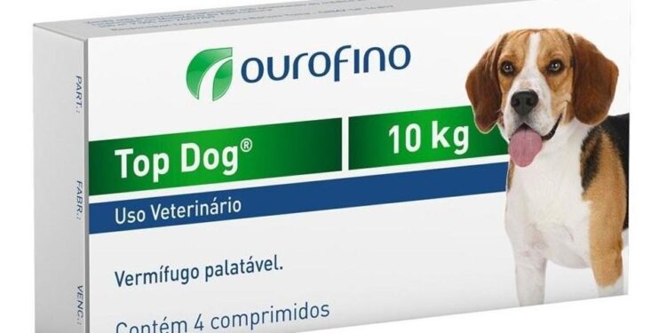 Quels sont les chiens les plus câlins ?