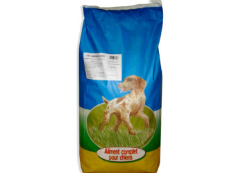 Quels sont les chiens les plus câlins ?