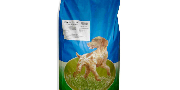 Quels sont les chiens les plus câlins ?