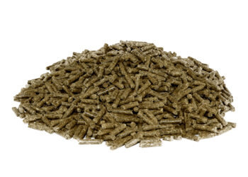 Quels sont les meilleurs granulés pour lapin ?