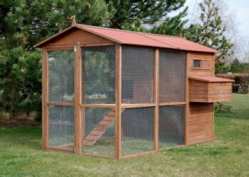 Quels sont les meilleurs poulailler ?