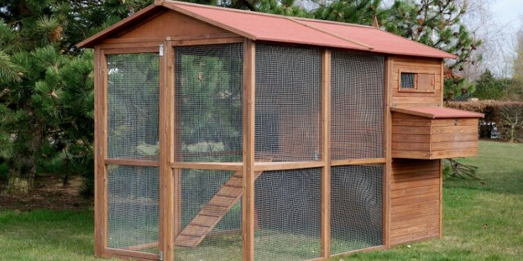 Quels sont les meilleurs poulailler ?