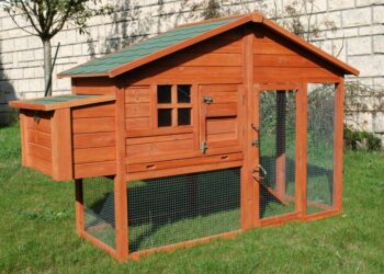 Quels sont les meilleurs poulailler ?