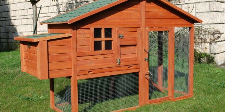 Quels sont les meilleurs poulailler ?