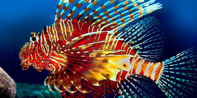Quels sont les poissons d'aquarium ?