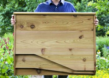 Quels sont les prédateurs de la Chauve-souris ?